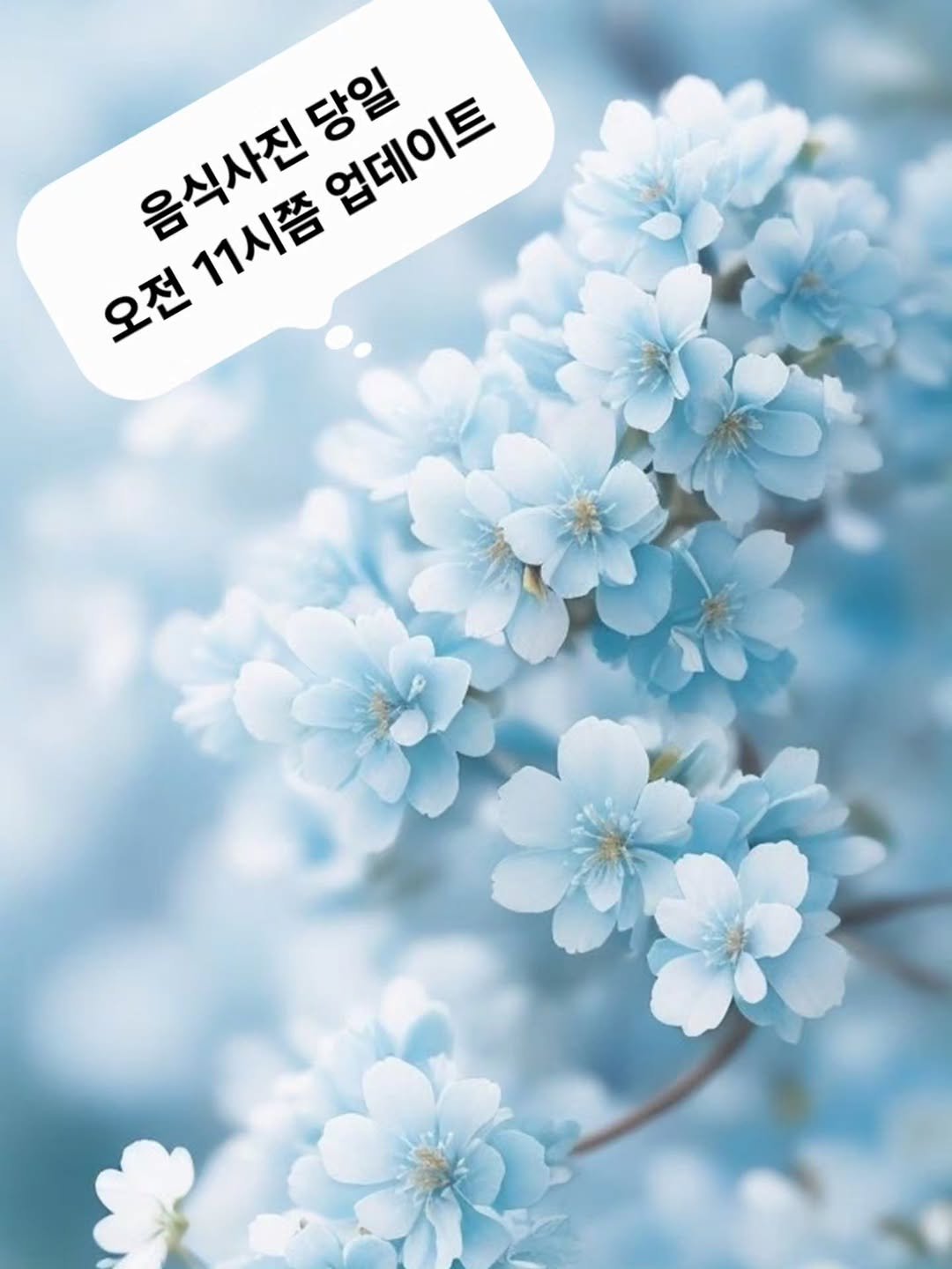 에이스하이엔드타워1차