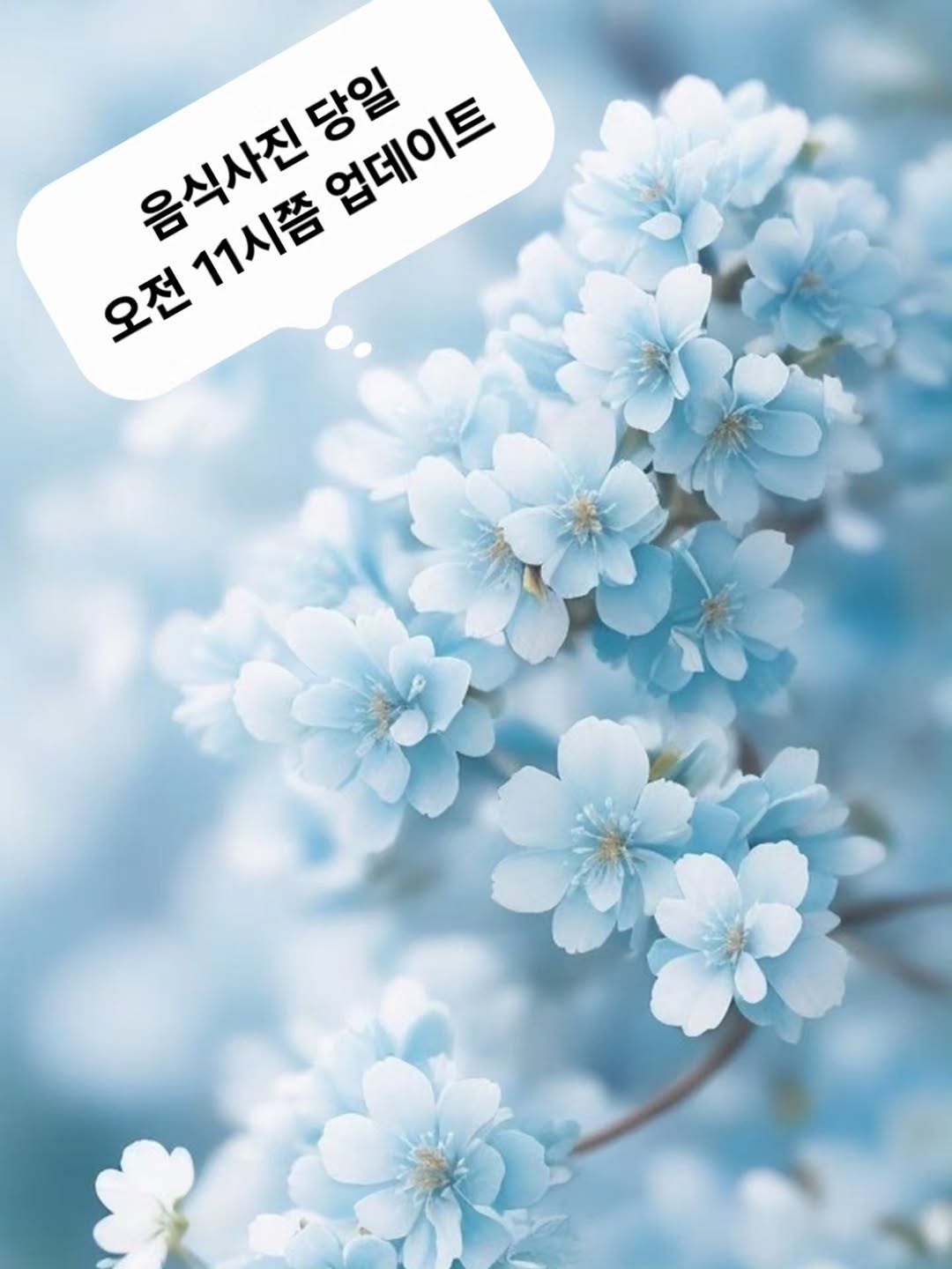 메뉴 사진
