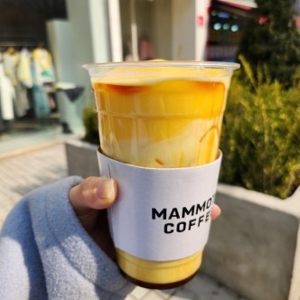 매머드익스프레스퍼블릭