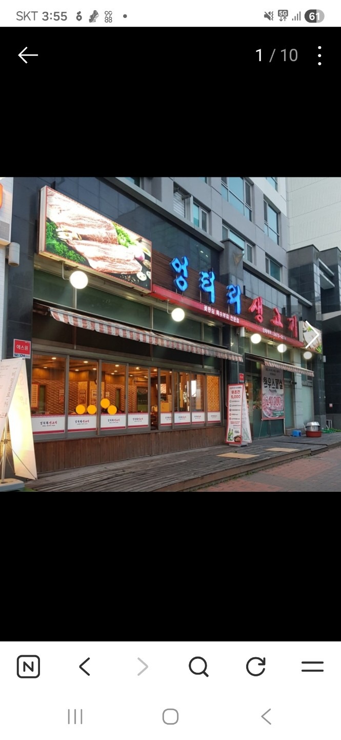엉터리생고기