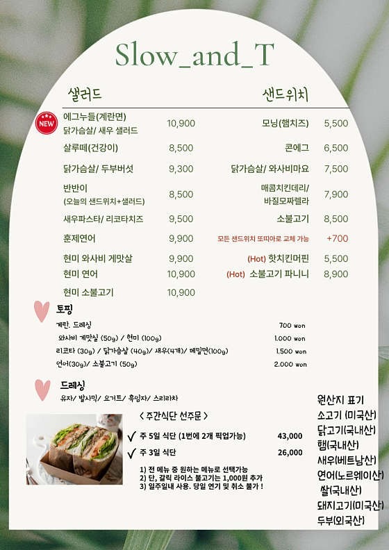 슬로우앤티